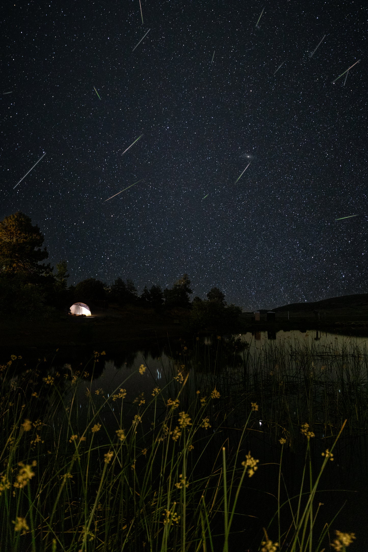 Shooting Stars by the lake
