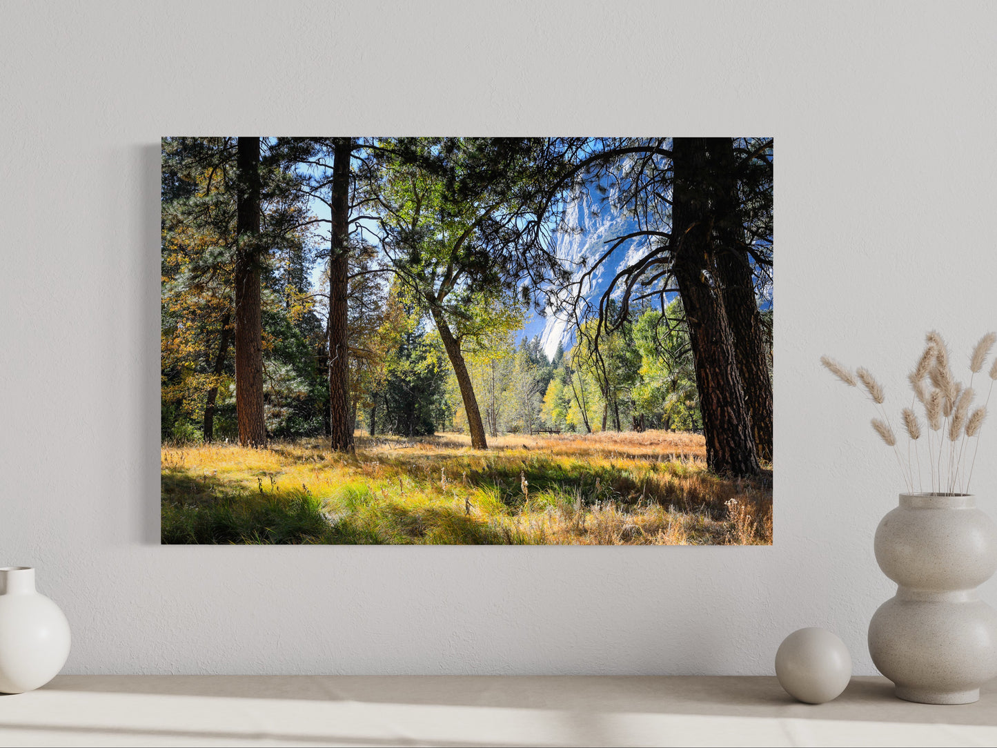 Yosemite Valley Floor