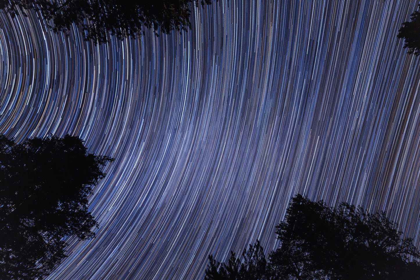 Star Trails Above
