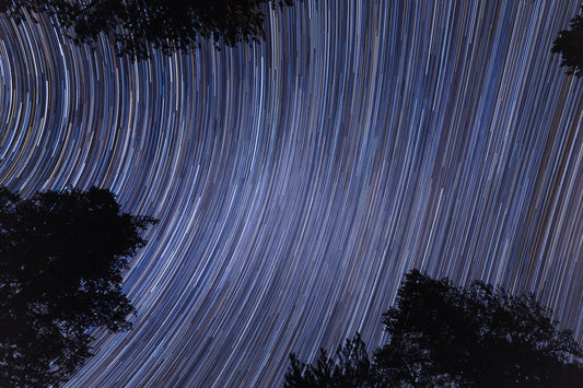 Star Trails Above