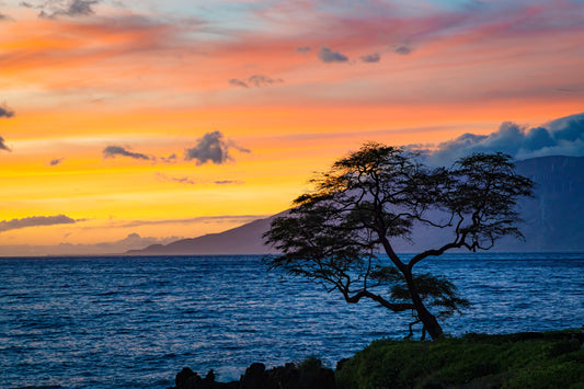 Hawaiian Sunset